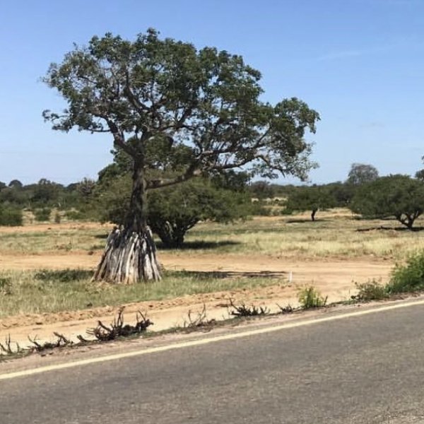 1.500,00 com apenas 0,03 centavos